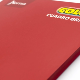 Cuaderno Cosido Profesional Cuadro Grande Norma Color Rojo 100 Hojas