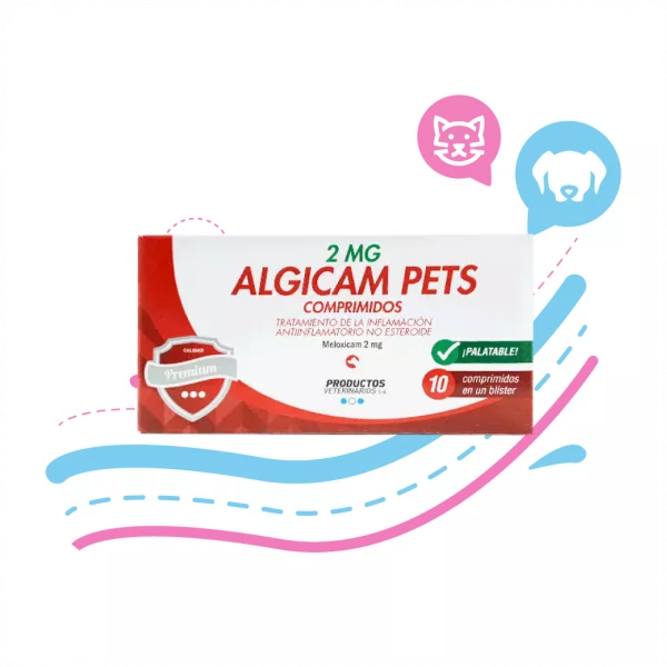 ALGICAM 2 MG x10 PASTILLAS