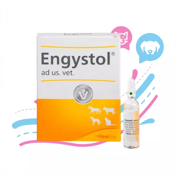 AMPOLLA DE ENGYSTOL VET