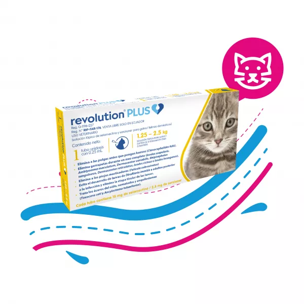 ANTIPARASITARIO REVOLUTION PLUS GATOS 0,25ML TBX1 (1,25 KG A 2,5 KG)
