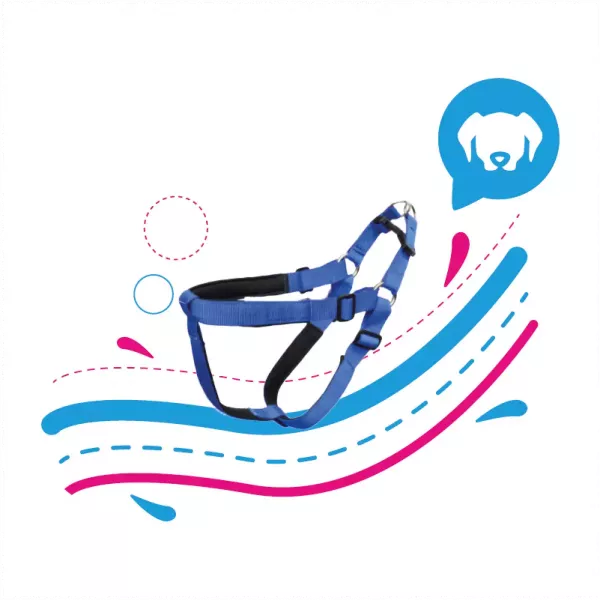 ARNES ACOLCHADO COLORES SURTIDO - 5/8"