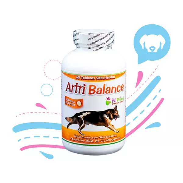 ARTRI BALANCE x60 PASTILLAS