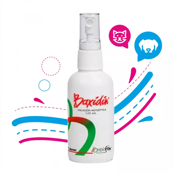 BAXIDIN FRASCO - 120 ML