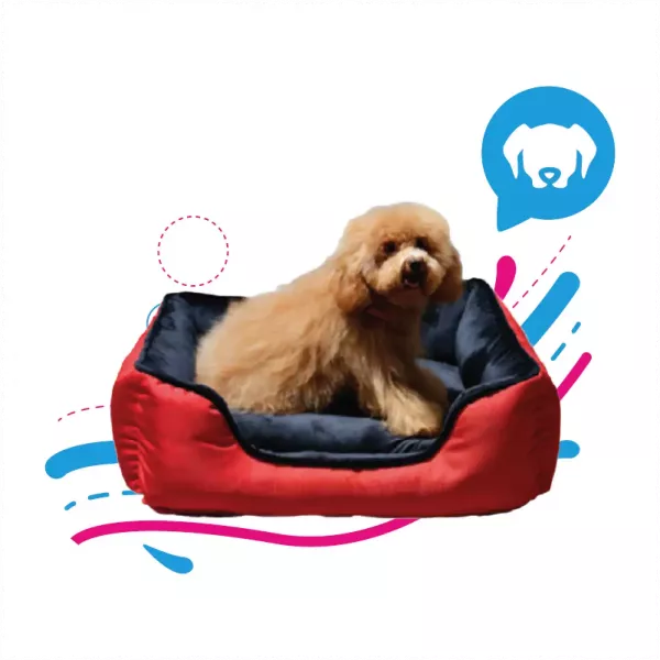 CAMA PREMIUM - PEQUEÑA