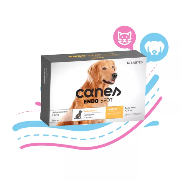 CANES ENDO-SPOT 26 A 40 KG