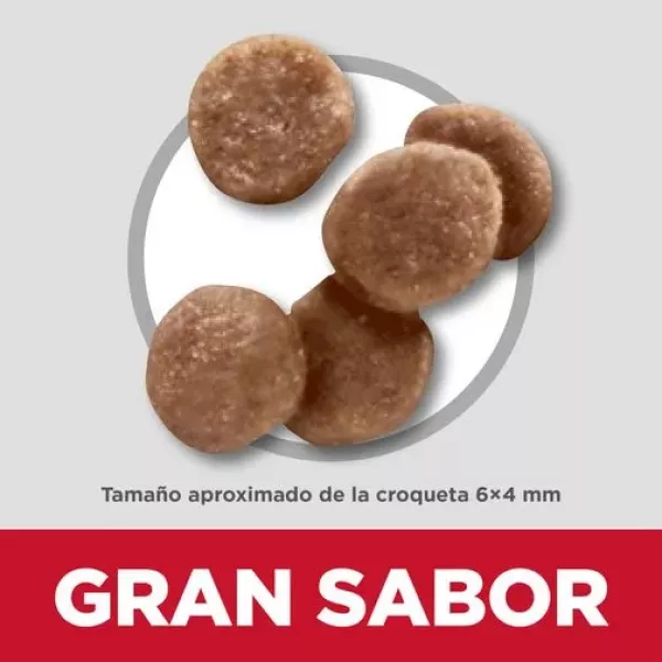 COMIDA PARA GATITO HILLS KITTEN 3.5 LBS