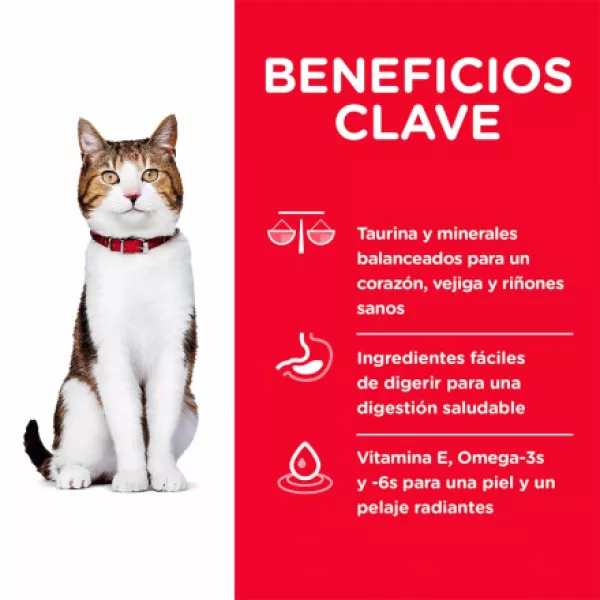 HILLS CAT MATURE - 7 LB