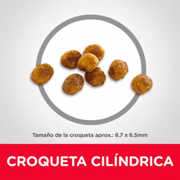 HILLS CAT MATURE - 7 LB