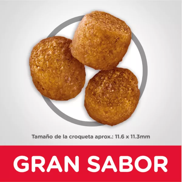 HILLS ADULTO PERFECT WEIGHT - 4LB