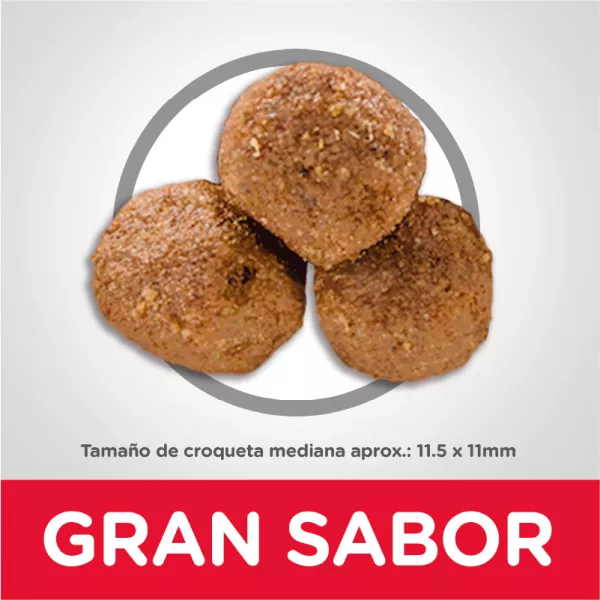 COMIDA PARA PERRO HILLS ADULTO RAZAS MEDIANAS CORDERO Y ARROZ  33LBS