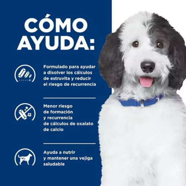 COMIDA PARA PERRO HILLS C/D URINARY CARE