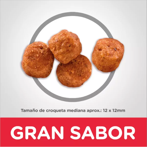 HILLS MATURE ORIGINAL - 26.5LB