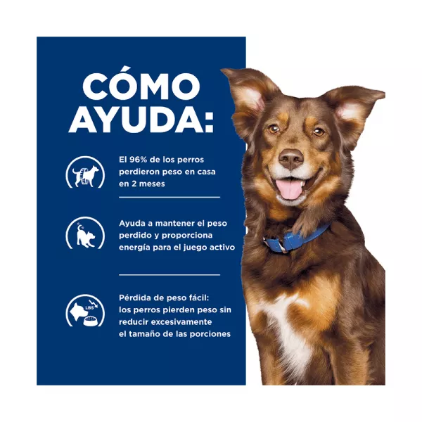 COMIDA PARA PERRO HILLS METABOLIC 27.5 LBS