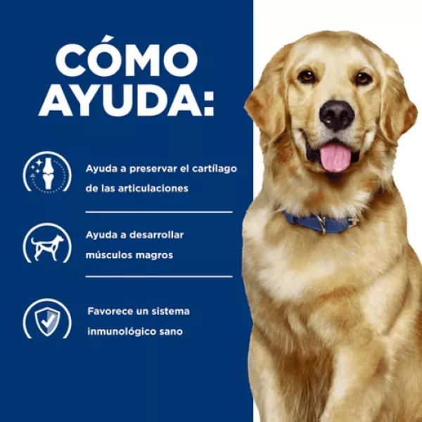 COMIDA PARA PERRO HILLS PRESCRIPTION MOBILITY J/D 27,5LBS