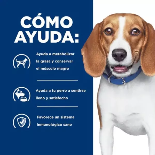 COMIDA PARA PERRO HILLS REDUCCIÓN DE PESO R/D 27.5LB