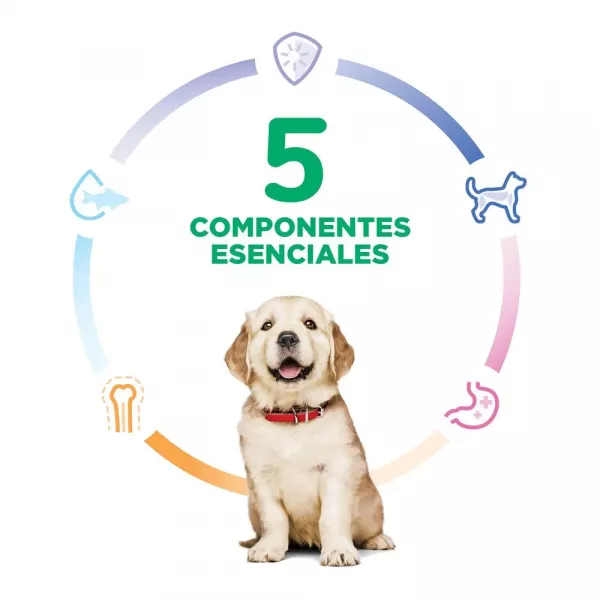 COMIDA PARA PERROS HILLS CACHORROS RAZAS GRANDES 15.5 LBS