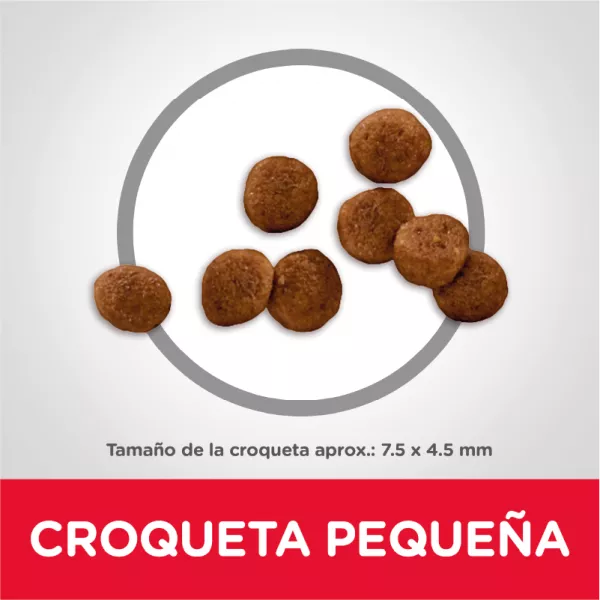 COMIDA PARA PERROS HILLS CACHORROS RAZAS MINIATURA 4,5 LBS
