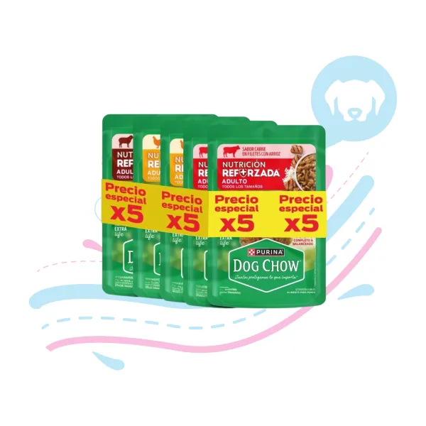 DOG CHOW ADULTO PACK SURTIDO 5 X 100 GRS