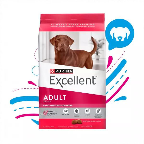 EXCELLENT ADULTO RAZA MEDIANA GRANDE