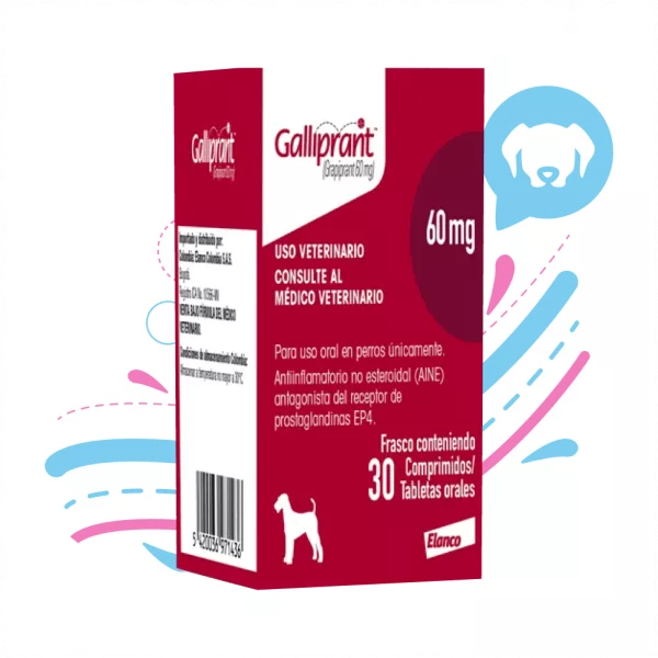 GALLIPRANT 60 MG x1 PASTILLA