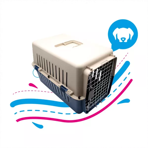 GUACAL IMPORTADO - PEQUEÑO