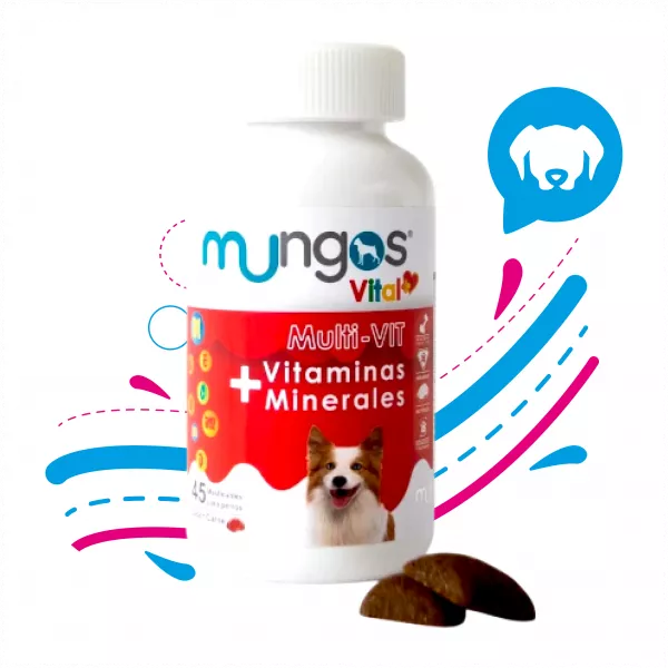MUNGOS VITAL + MULTIVIT X 45 UN