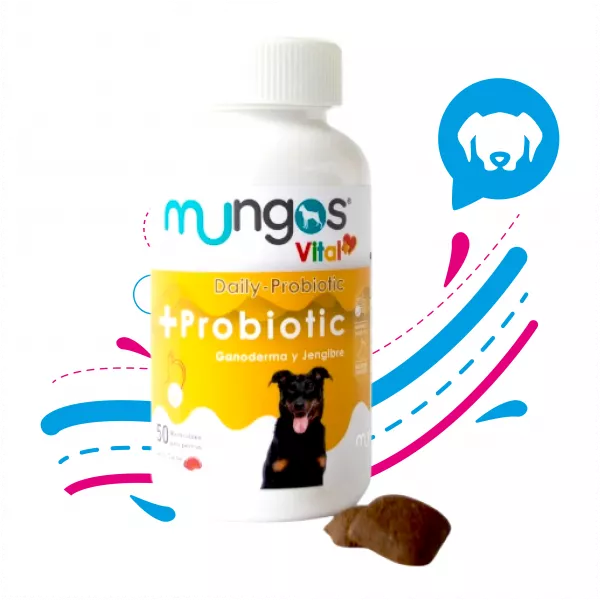 MUNGOS VITAL + PROBIOTIC X 50 GR