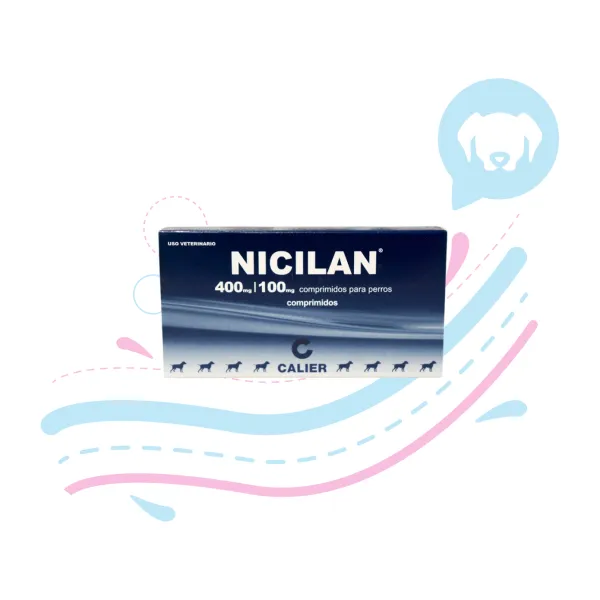 NICILAN 400/100 BLISTER X 6 TABS