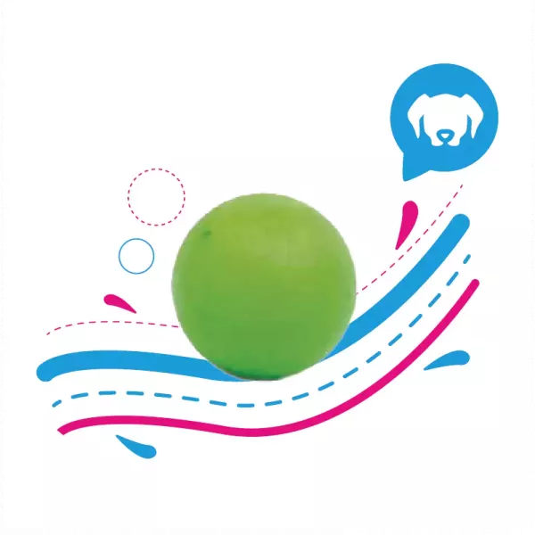 PELOTA MACIZA GRANDE X UNIDAD