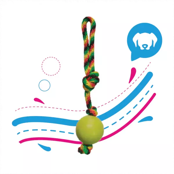 PELOTA MACIZA MEDIANA CON LAZO