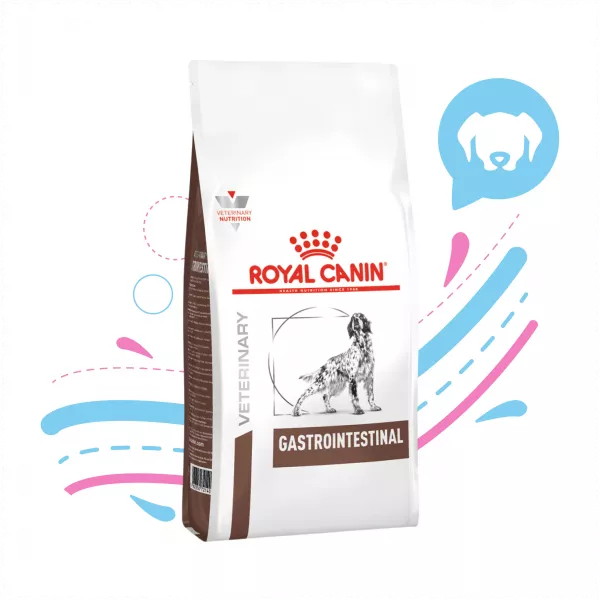 ROYAL CANIN GASTROINTESTINAL X 2 KL