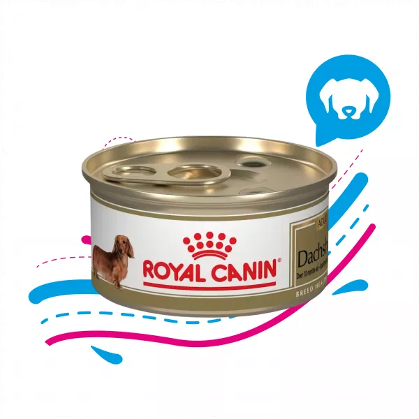 ROYAL CANIN LATA DACHSHUND X856 GR