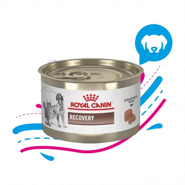ROYAL CANIN LATA RECOVERY X 145 GR