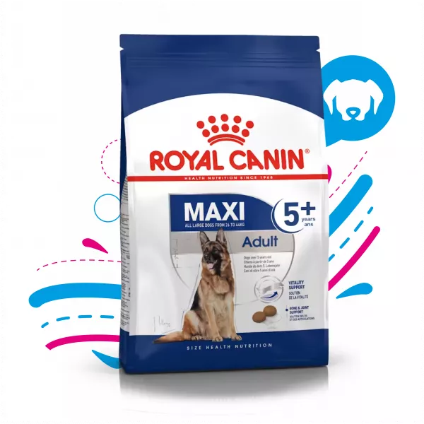 ROYAL CANIN MAXI ADULTO - 4KG