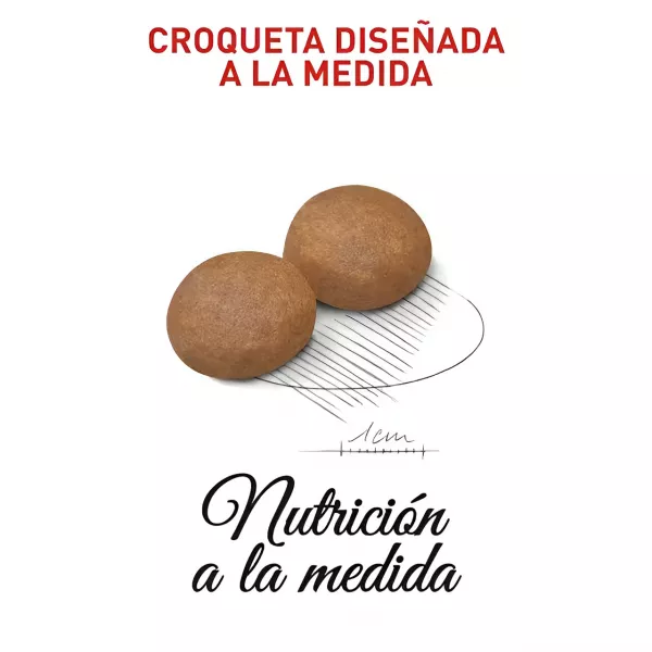 ROYAL CANIN MAXI ADULTO - 4KG