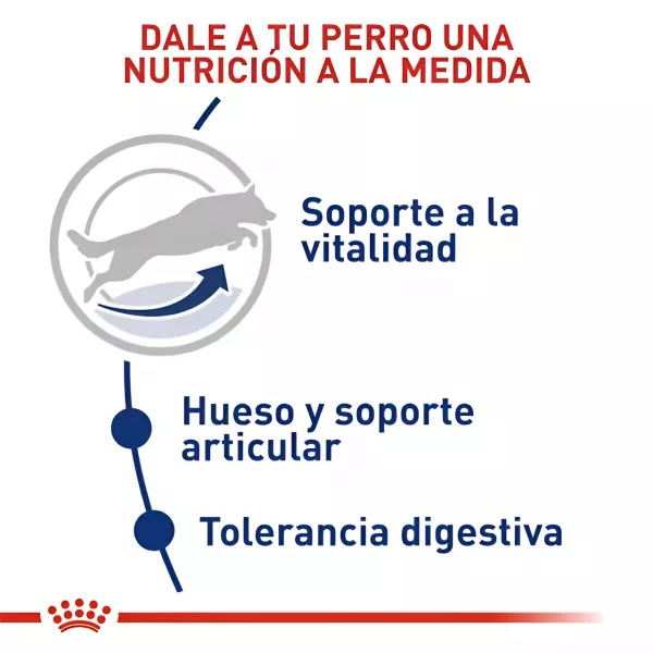 ROYAL CANIN MAXI ADULTO - 4KG