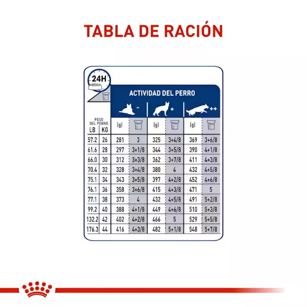 ROYAL CANIN MAXI ADULTO - 4KG