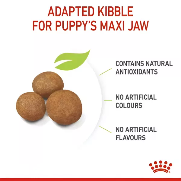 ROYAL CANIN MAXI PUPPY - 15KG