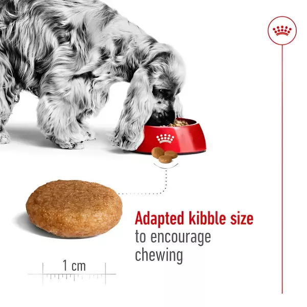 ROYAL CANIN MEDIUM ADULTO  - 4KG