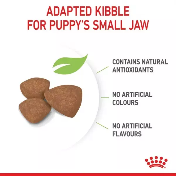 ROYAL CANIN MINI PUPPY - 4KG