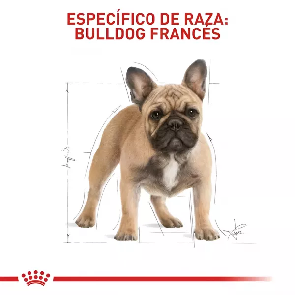 ROYAL CANIN PUPPY FRENCH BULLDOG 3 KG