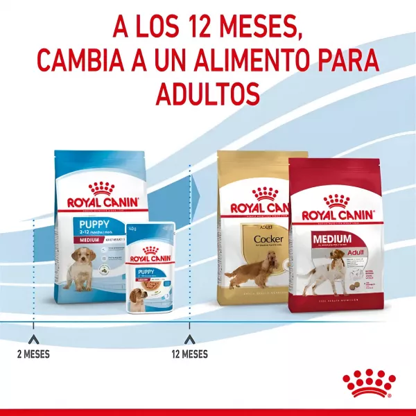 ROYAL CANIN PUPPY MEDIUM - 4KG