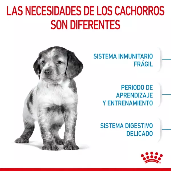 ROYAL CANIN PUPPY MEDIUM - 4KG