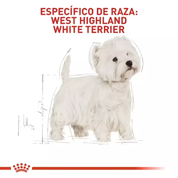 ROYAL CANIN WEST HIGHLAND WHITE TERRIER ADULTO 3KG
