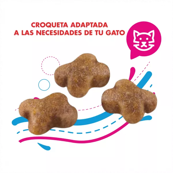 ROYAL CAT KITTEN - 2KG