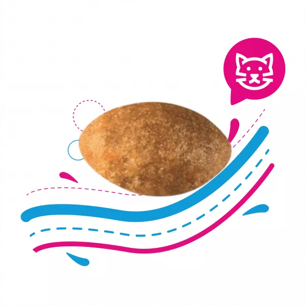 ROYAL CAT PERSIAN - 2 KG