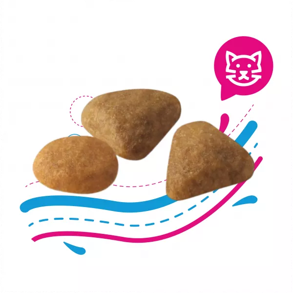 ROYAL CAT SAVOUR X 2 KG