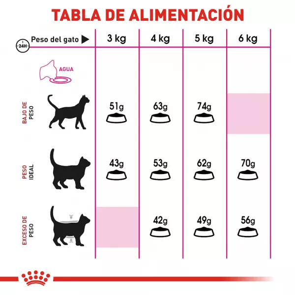 ROYAL CAT SAVOUR X 2 KG