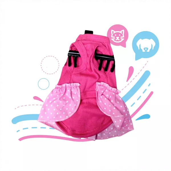 VESTIDO PRINCESA PEQUEÑO #3