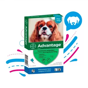 ADVANTAGE 1.0 ML 4-10 KILOS